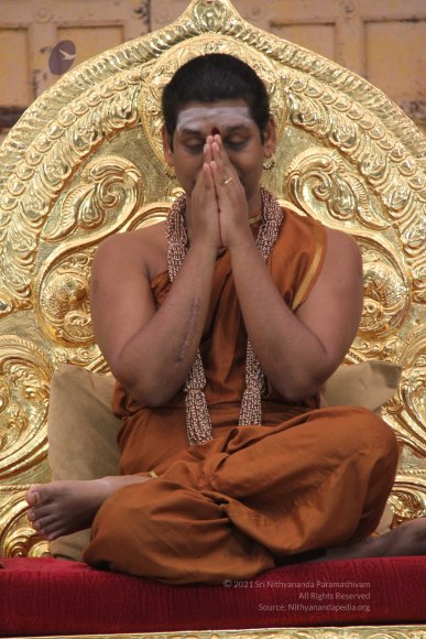 10131231_IMG_2650-0901