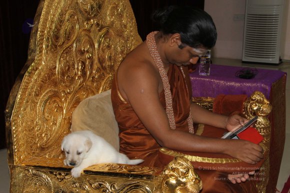 20131231_IMG_2854-0101