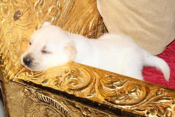 20131231_IMG_2856-0601