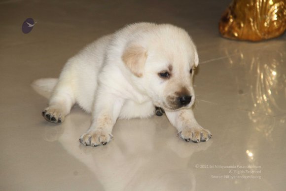 20131231_IMG_2859-0301