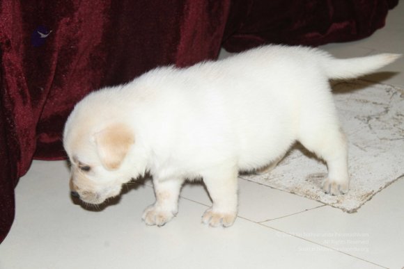 20131231_IMG_2861-0801