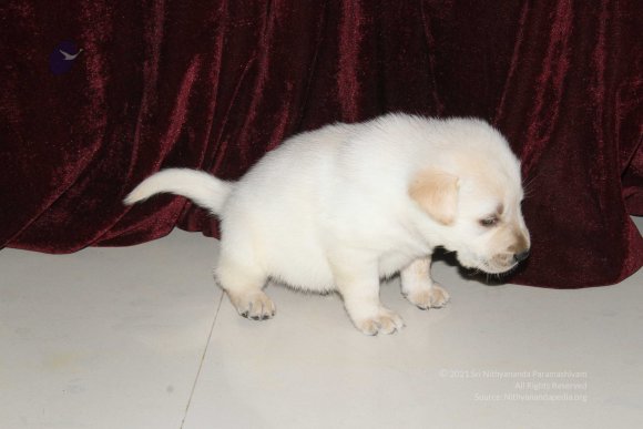 20131231_IMG_2862-0901