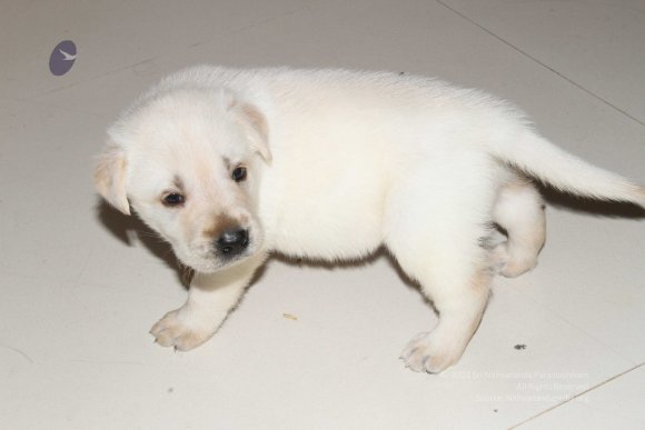 20131231_IMG_2863-0501