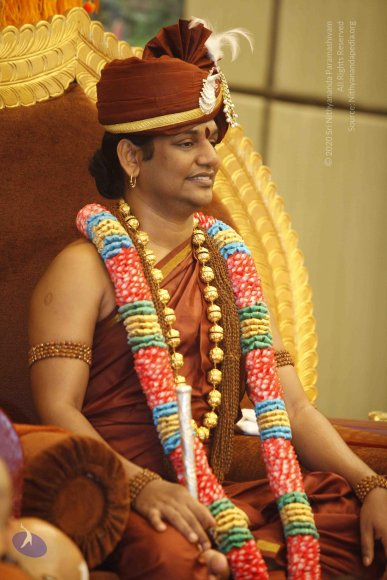 20131217_Photo_1029__MG_5850_CMP_WM