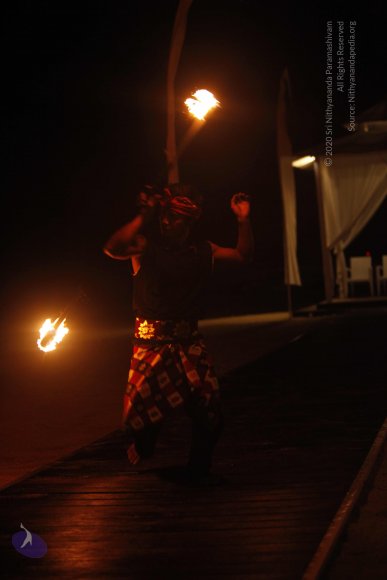 20131220_Photo_1007__MG_7855_CMP_WM