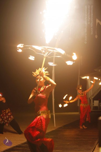 20131220_Photo_1010__MG_7958_CMP_WM