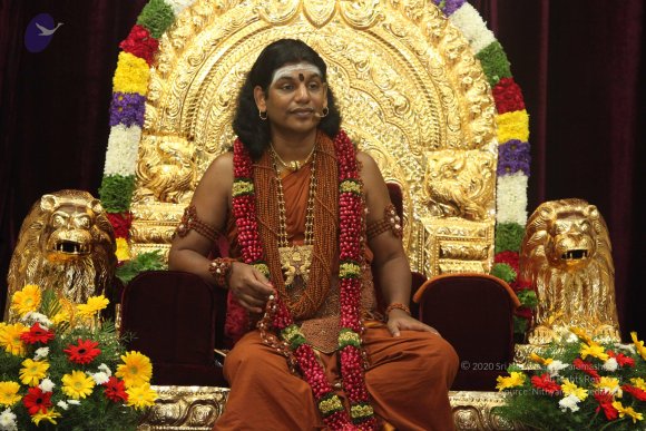 20130217_Photo_1075_IMG_6859_CMP_WM