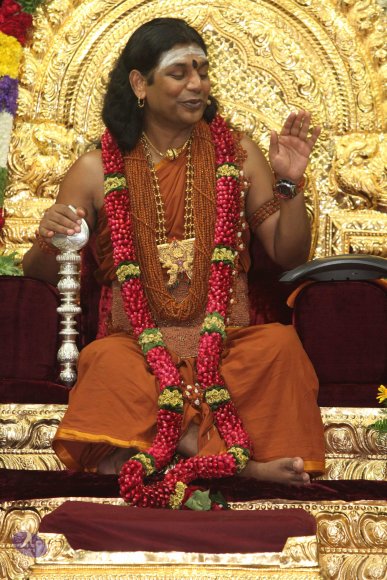 20130217_Photo_1099_IMG_6887_CMP_WM