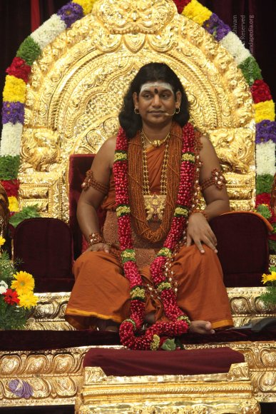 20130217_Photo_1111_IMG_6903_CMP_WM