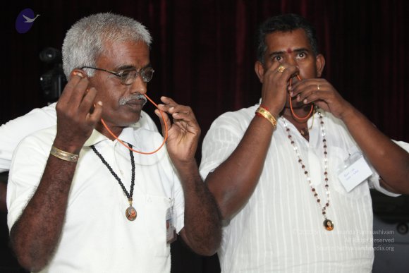 20130217_Photo_1005_IMG_7243_CMP_WM