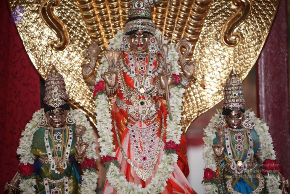 20130222_Photo_1001_IMG_9105_CMP_WM