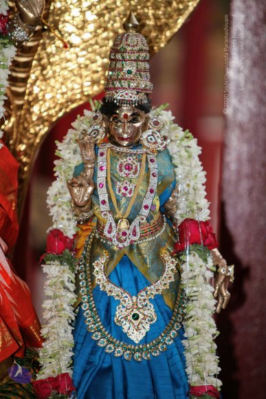 20130222_Photo_1003_IMG_9107_CMP_WM