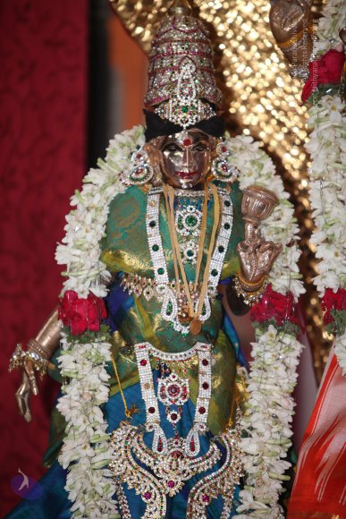 20130222_Photo_1004_IMG_9108_CMP_WM