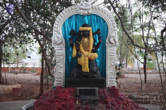 20130222_Photo_1005_IMG_9109_CMP_WM