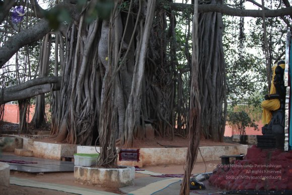 20130222_Photo_1009_IMG_9114_CMP_WM