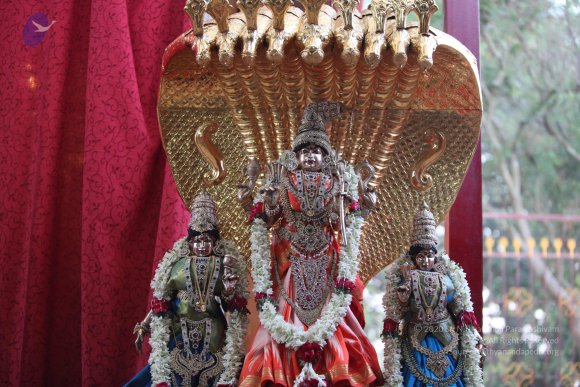 20130222_Photo_1011_IMG_9116_CMP_WM