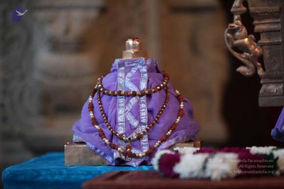 20130222_Photo_1015_IMG_9124_CMP_WM