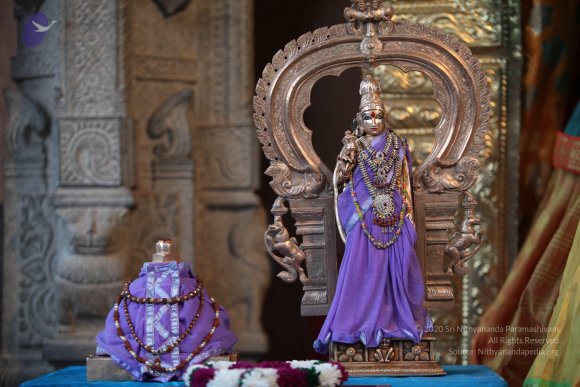 20130222_Photo_1016_IMG_9125_CMP_WM