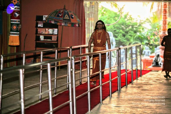 20130222_Photo_1019_IMG_9129_CMP_WM