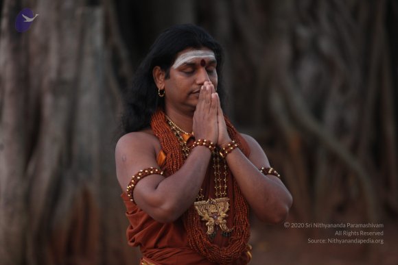 20130222_Photo_1024_IMG_9135_CMP_WM