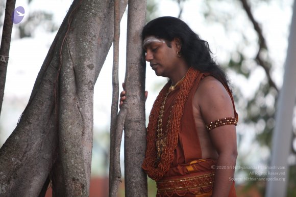 20130222_Photo_1025_IMG_9136_CMP_WM