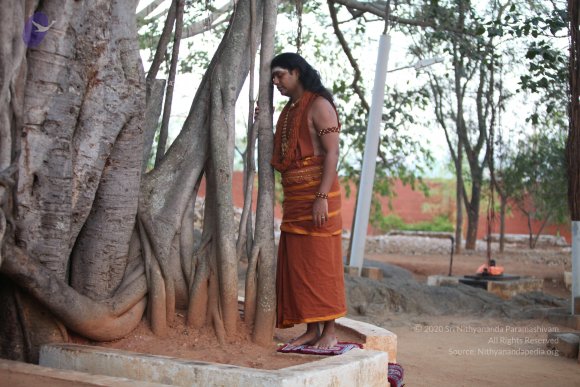 20130222_Photo_1026_IMG_9137_CMP_WM