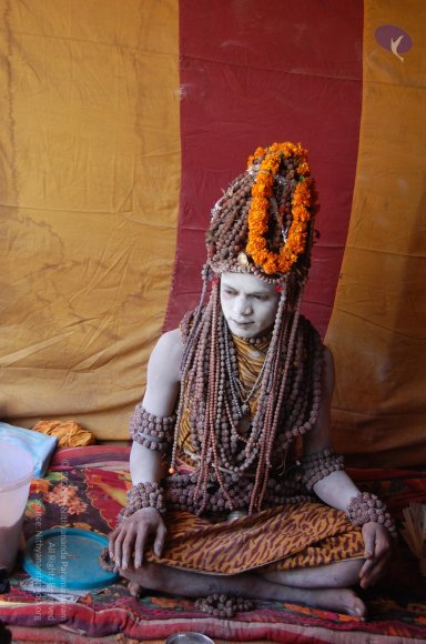 20130214_Photo_1006_DSC_0033_CMP_WM