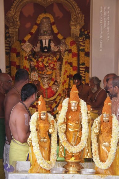 Kumbh-Mela_Photo_1085_IMG_1176_CMP_WM