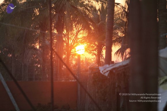 1-Temple_Photo_1006_IMG_9553_CMP_WM