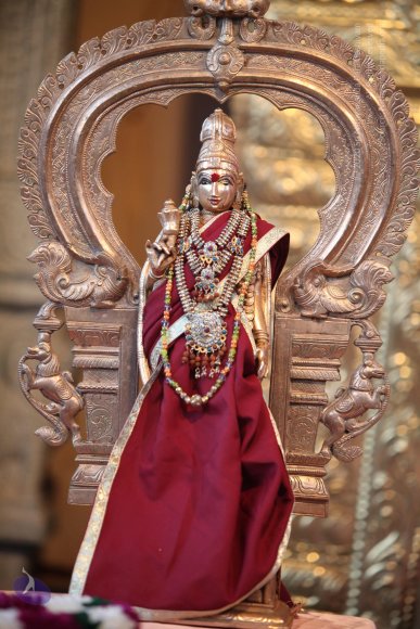 20130227_Photo_1002_1tMFTUetltGOKA0oRv5xxfLCzFSodFLET