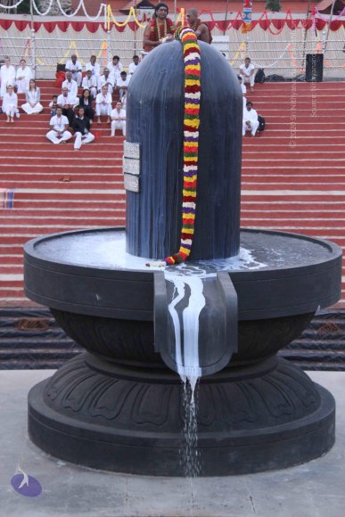 20130708_Photo_1001_IMG_0180_CMP_WM