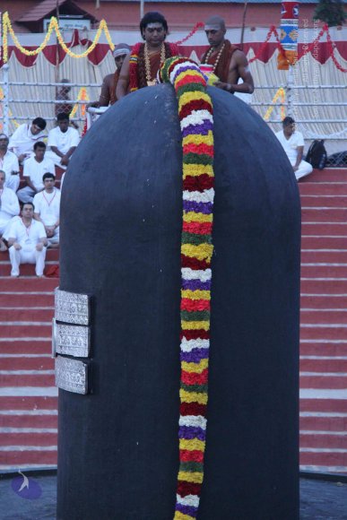 20130708_Photo_1006_IMG_0110_CMP_WM