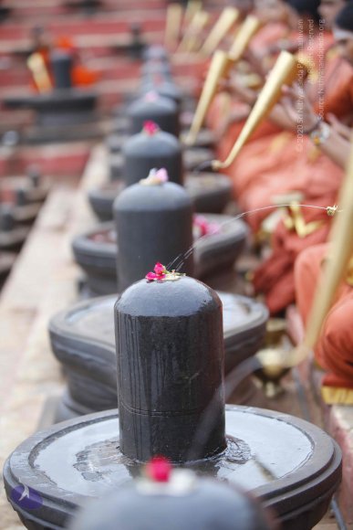 20130708_Photo_1015__MG_2340_CMP_WM