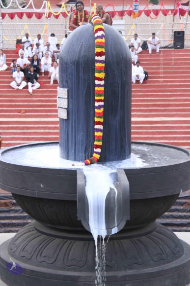 20130708_Photo_1029_IMG_0241_CMP_WM