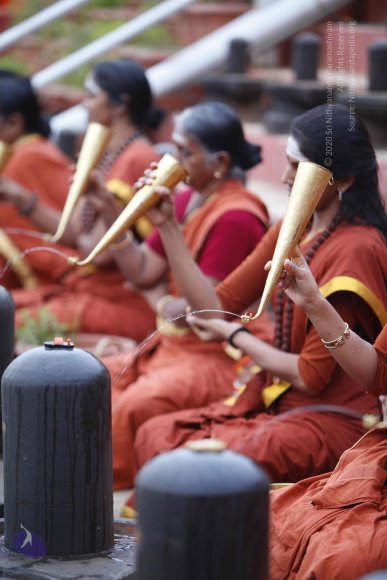 20130708_Photo_1039__MG_2320_CMP_WM