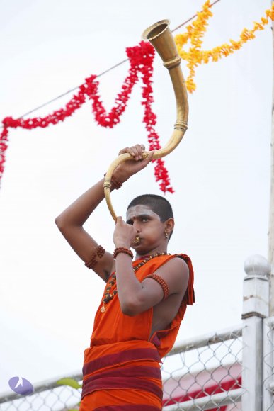 20130708_Photo_1058__MG_2326_CMP_WM