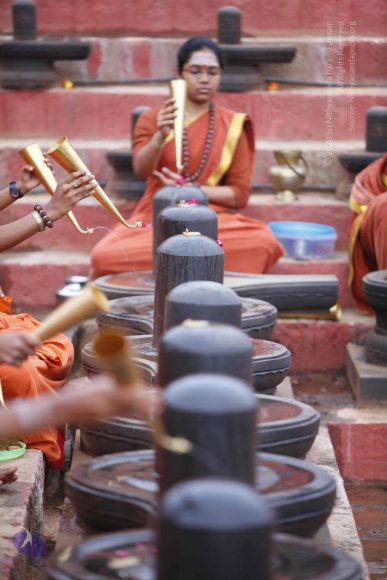 20130708_Photo_1059__MG_2344_CMP_WM