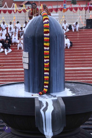 20130708_Photo_1062_IMG_0206_CMP_WM