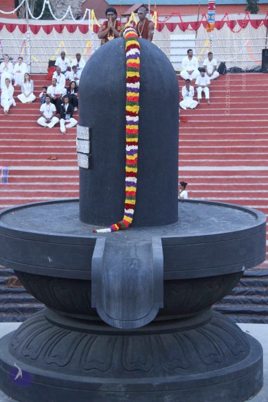 20130708_Photo_1090_IMG_0146_CMP_WM