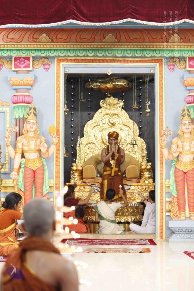 20130708_Photo_1017__MG_2426_CMP_WM