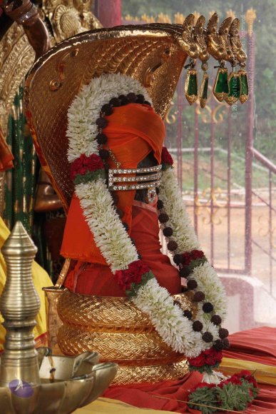 20130607_Photo_1003_IMG_3906_CMP_WM