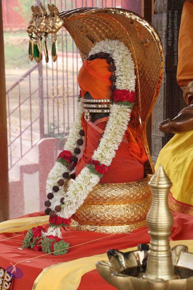 20130607_Photo_1006_IMG_3910_CMP_WM