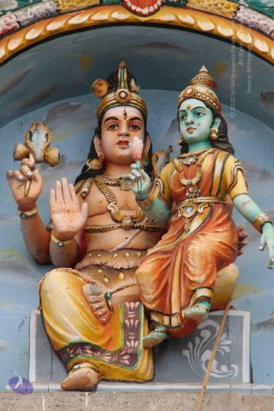 20130607_Photo_1010_IMG_3915_CMP_WM