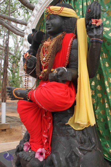 20130607_Photo_1015_IMG_3928_CMP_WM