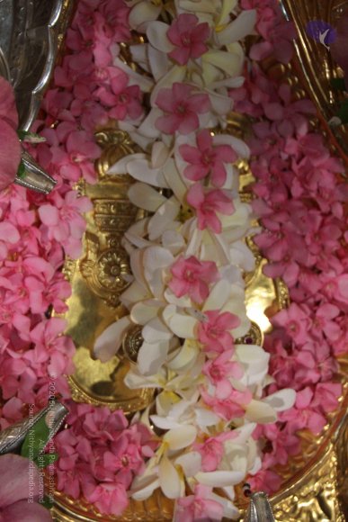 20130607_Photo_1002_IMG_3863_CMP_WM