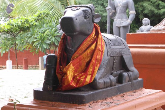 20130609_Photo_1004_IMG_4208_CMP_WM