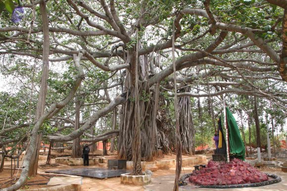 20130609_Photo_1005_IMG_4210_CMP_WM