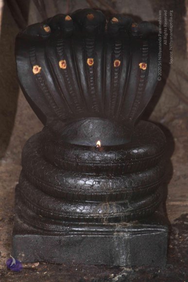 20130609_Photo_1017_IMG_4227_CMP_WM-2