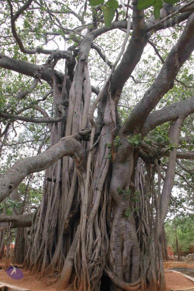 20130609_Photo_1018_IMG_4228_CMP_WM