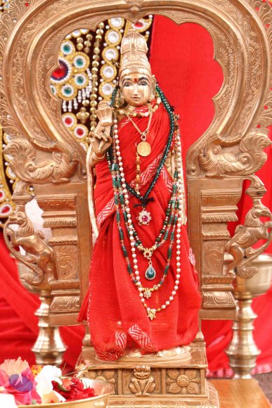 20130609_Photo_1023_IMG_4241_CMP_WM-1